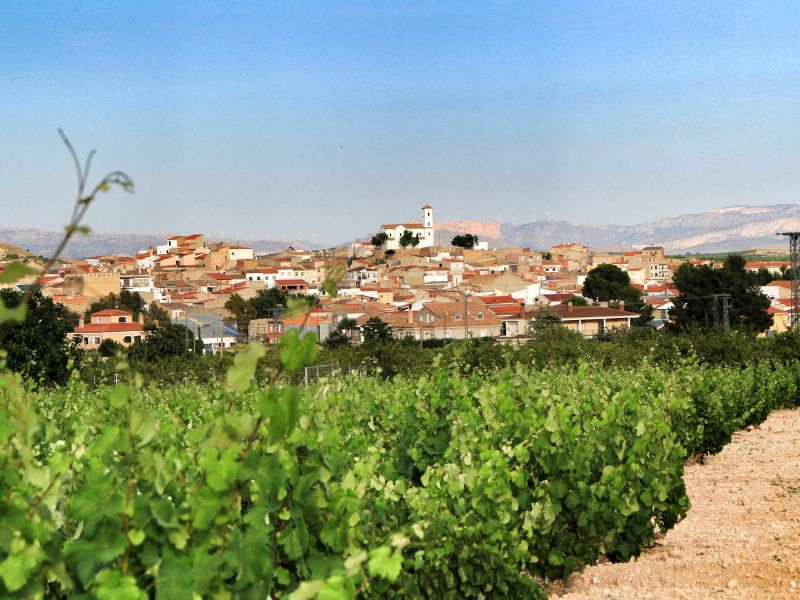 Jumilla, pueblo vinícola de Murcia, celebra sus fiestas grandes en el mes de septiembre.